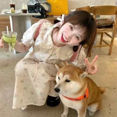 在我的尸体之上